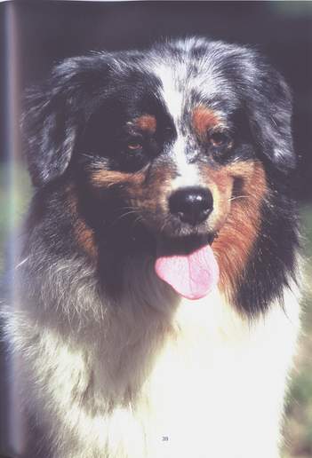 tete phantom.JPG (21080 octets)