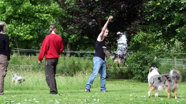 spirit jump